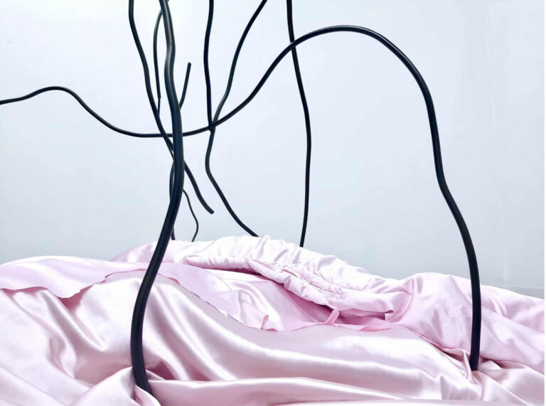 521565525_751126344282162_7236120865727640639_n